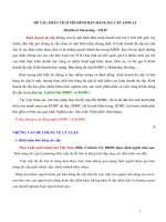 Phân tích mô hình bán hàng đa cấp amway