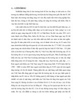 Định hướng phát triển hàng hoá XK vào thị trường EU đối với mặt hàng đang xuất khẩu.doc