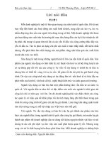 Hạch toán kế toán tổng hợp tại công ty CP tư vấn xây dựng Nam Thành Đô