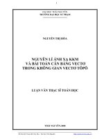 Nguyên lí ánh xạ kkm và bài toán cân bằng vectơ trong không gian vectơ tôpô