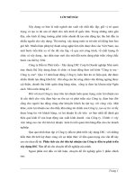 Chỉ tiêu lợi nhuận ở Công ty đầu tư phát triển Xây Dựng DIC