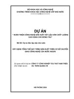 Xây dựng tổng thể quy trình sản xuất trên cơ sở chuyển giao công nghệ nước ngoài