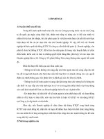 Hoàn thiện hệ thống kế toán quản trị tại Công ty cổ phần Đồng Tâm