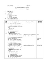 TUAN 10 - Bai - THEU LUOT VAN (tiet 2)