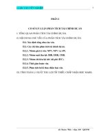 Phân tích tài chính dự án