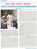 Tái lập ngân hàng - giải pháp đi tắt đón đầu cho các ngân hàng thương mại Việt Nam.pdf