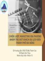 CHIẾN LƯỢC MARKETING ĐỊA PHƯƠNG NHẰM THU HÚT KHÁCH DU LỊCH ĐẾN THÀNH PHỐ ĐÀ NẴNG ( slide)