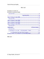 Hoàn thiện kế toán lưu chuyển hàng hóa tại công ty cổ phần Gas Petrolimex