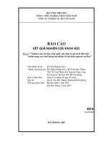 Nghiên cứu sản xuất ắc quy tích điện khô nhằm nâng cao chất lượng sản phẩm và tiết kiệm nguyên vật liệu