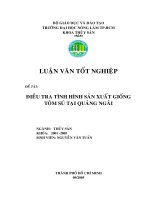 Điều tra tình hình sản xuất giống tôm sú tại Quảng Ngãi