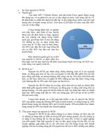 Luận văn :Sơ lược nguyên lý 80/20