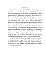 Hoàn thiện hạch toán kế toán nguyên vật liệu tại Công ty Cổ phần Bánh kẹo Hải Hà