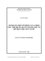 Đánh giá một số dòng lúa chọn lọc thế hệ r3, r4 có nguồn gốc từ mô sẹo chịu mất nước