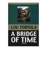 A Bridge of Time