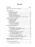 Tình hình đầu tư XDCB ở công ty điện lực I