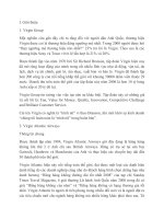 Chiến lược kinh doanh khác biệt của Virgin Group 