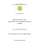 Hiệu Quả Sử Dụng Vốn Tại Công Ty Xuất Nhập Khẩu An Giang (ANGIMEX)