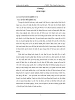 Phân tích hiệu quả hoạt động kinh doanh tại Cty đầu tư & xây dựng Kiên Giang