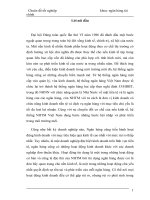 Thực trạng và giảI pháp về rủ ro tín dụng trong ngân hàng Indovina