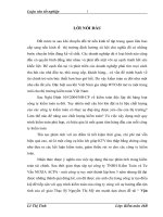 Vận dụng thủ tục phân tích trong kiểm toán báo cáo tài chính tại Công ty TNHH Kiểm Toán và Tư Vấn NEXIA ACPA