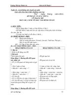 Giáo án mỹ thuật lớp 2. Tuần từ 6 - 11