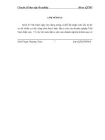 Hoàn thiện hoạt động Marketing tại Công ty TNHH thương mại Thành Nguyên