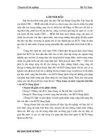 Thực trạng và triển vọng thu hút đầu t­ư vào KCN Dung Quất.DOC