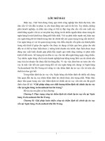 Giải pháp nâng cao chất lượng thẩm định tài chính dự án vay vốn tại ngân hàng techcombank hai bà trưng