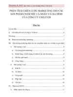 Phân tích chiến lược marketing cho các sản phẩm chăm sóc cá nhân và gia đình của công ty unilever