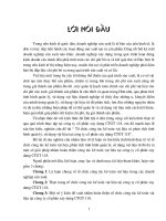 Tổ chức công tác kế toán vật liệu và phân tích tình hình quản lí, sử dụng vật liệu tại công ty cổ phần xây dựng CTGT 118