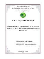 Sử dụng kỹ thuật rapd khảo sát sự đa dạng di truyền của quần thể nấm