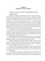 Thẩm định tài chính dự án đầu tư tín dụng tại sở giao dịch I - Vietinbank