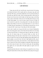 Báo cáo thực tập tại Công ty tnhh Sản xuất- Kinh doanh Vật liệu xây dựng Tân Hòa