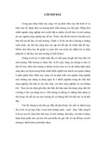 Bảo vệ môi trường và các văn bản pháp luật có liên quan