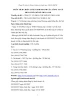 Phân tích chiến lược kinh doanh của công ty cổ phần thế giới số trần anh