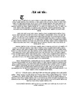 Chính sách ưu đãi thuế đối với Doanh nghiệp sản xuất phần mềm - Thực trạng và giải pháp tại Trung tâm Công nghệ thông tin .doc