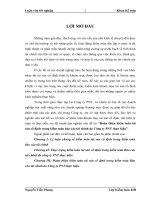 Hoàn thiện kiểm toán TSCĐ trong kiểm toán báo cáo tài chính do Cty PNT thực hiện