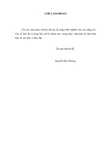 Thực trạng và giải pháp mở rộng tín dụng tiêu dùng tại Ngân hàng TMCP Đông Nam Á – Chi nhánh Ba Đình