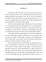 Hoàn thiện kế toán nguyên vật liệu ở Nhà máy Luyện thép Lưu Xá