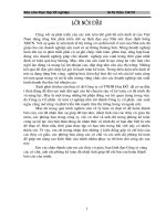 Thực trạng công tác hạch toán kế toán tại Cty TNHH Hoa Đô