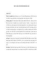 men creatine phosphokinase