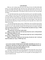 Kế toán tập hợp chi phí sản xuất và tính giá thành sản phẩm tại công ty TNHH Ngọc Sơn.doc