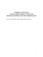 foreign languages in the labor market of vietnam demands, supplies and recommendation