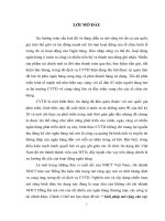 Giải pháp mở rộng cho vay tiêu dùng tại chi nhánh NHCT Đống Đa 