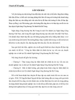 Công tác thẩm định tài chính dự án vay vốn của các doanh nghiệp vừa và nhỏ tại Chi nhánh Ngân hàng Công thương Hai Bà Trưng