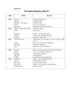 Tài liệu Giáo án môn Tiếng Việt tuần 19