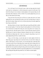 Một số giải pháp nhằm đẩy mạnh hoạt động bán hàng trên thị trường cho công ty Orion Vina