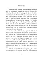 Chiến lược định vị của viettel mobile trên thị trường Việt Nam