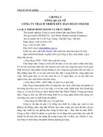 Tổ chức kế toán nguyên vật liệu tại Công ty TNHH Đoàn Thành - Thực trạng và giải pháp