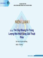 Tìm cây khung có trọng lượng nhỏ nhất bằng giải thuật  Prim